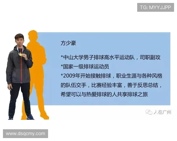 广州排球队实力深度剖析与对比分析报告