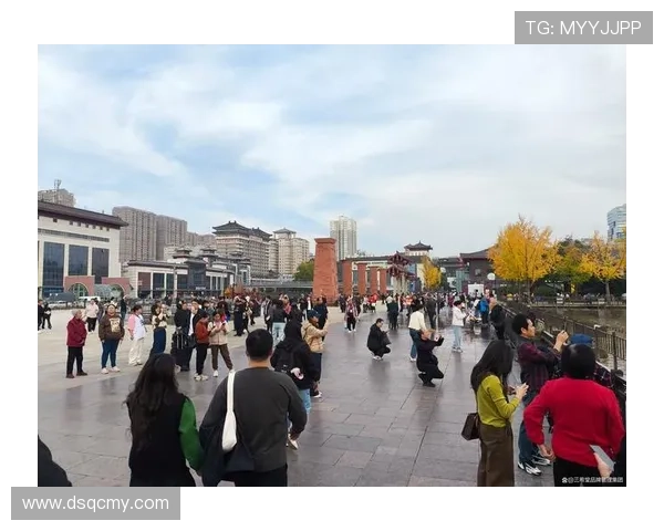 成都飞盘队比赛经验分享与提升策略的深入探讨与分析